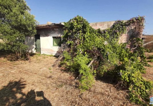 casa indipendente con terreno