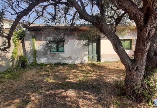 casa indipendente con terreno