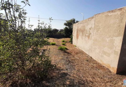 casa indipendente con terreno