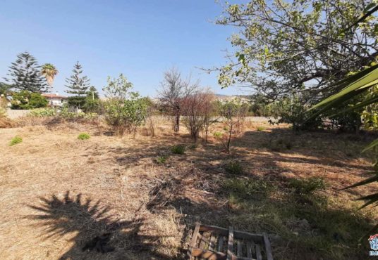 casa indipendente con terreno
