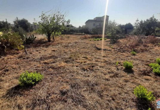 casa indipendente con terreno