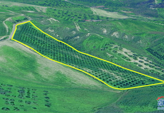 Terreno agricolo