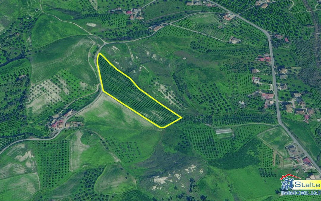 Terreno agricolo