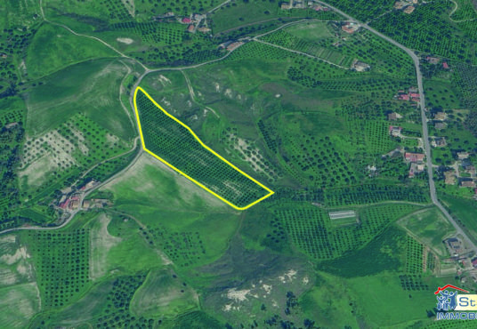 Terreno agricolo