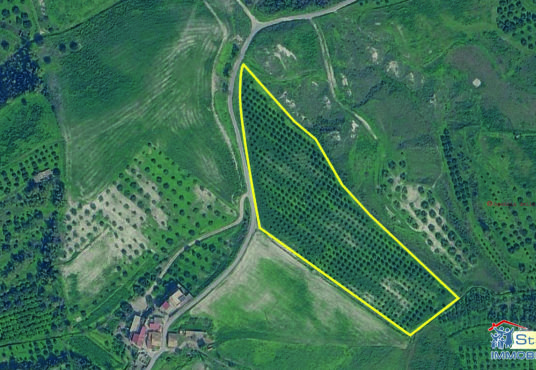 Terreno agricolo