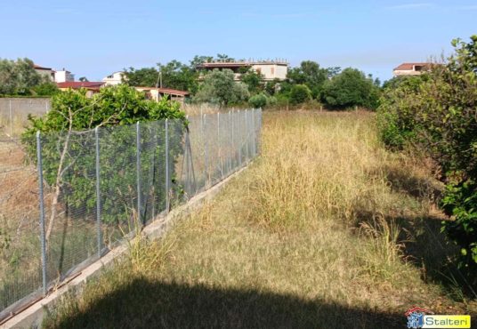 Terreno agricolo
