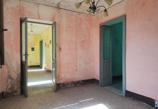 salone