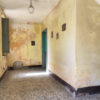 ingresso