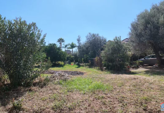 terreno