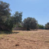 Terreno edificabile