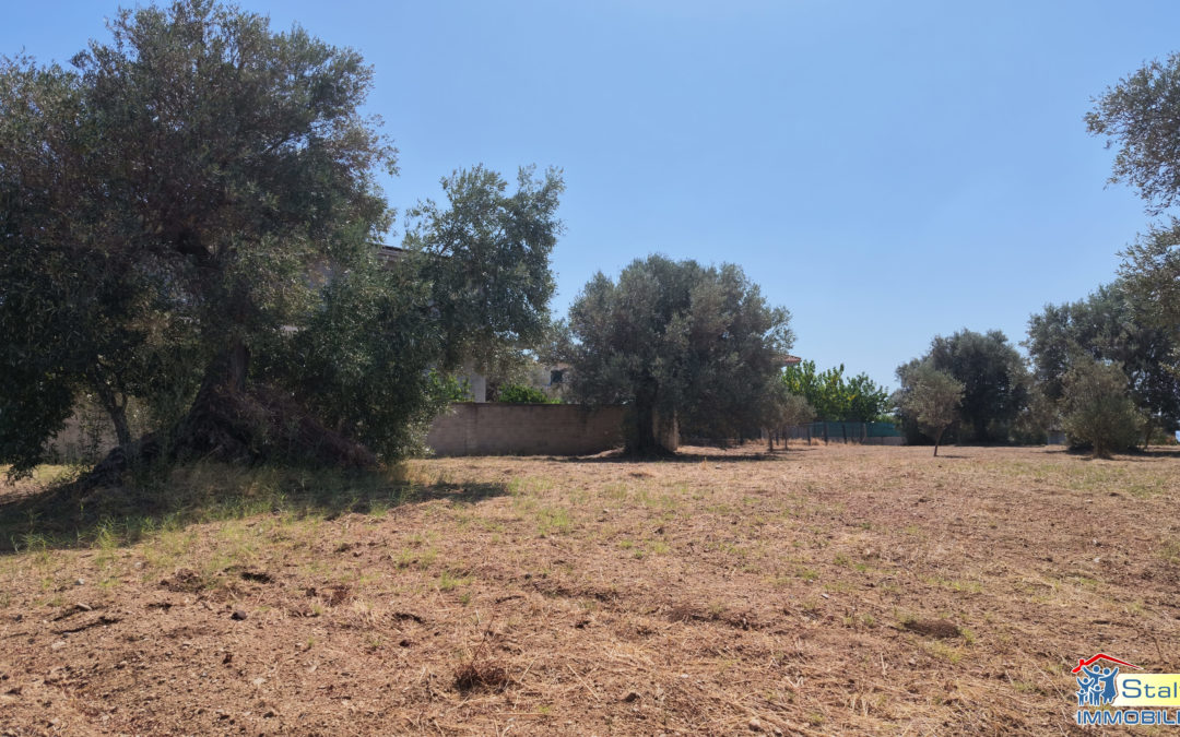 Terreno edificabile