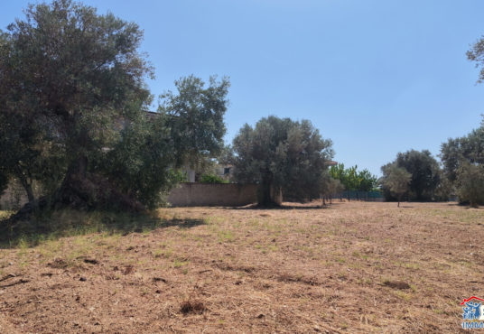 Terreno edificabile
