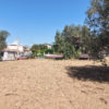 Terreno edificabile