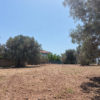 Terreno edificabile