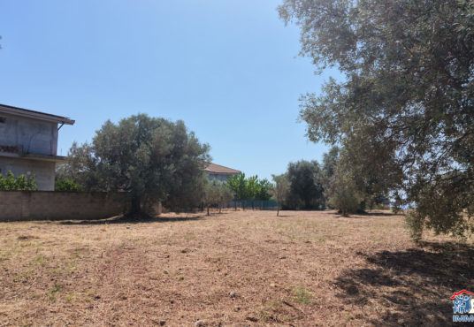 Terreno edificabile